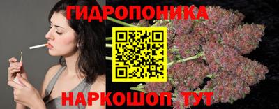 винт Дубна